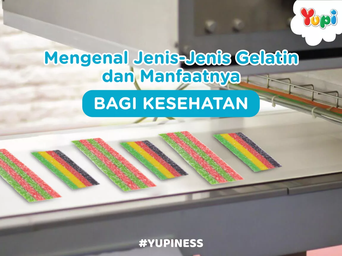 Mengenal Jenis-Jenis Gelatin Dan Manfaatnya Bagi Kesehatan - Yupi